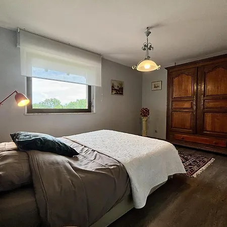 House With Swimming Pool Near Strasbourg