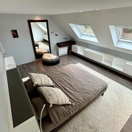 House With Swimming Pool Near Strasbourg Сasa de vacaciones *